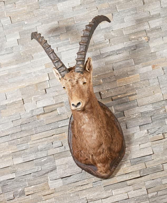 Hotel Steinmattli Adelboden Dış mekan fotoğraf