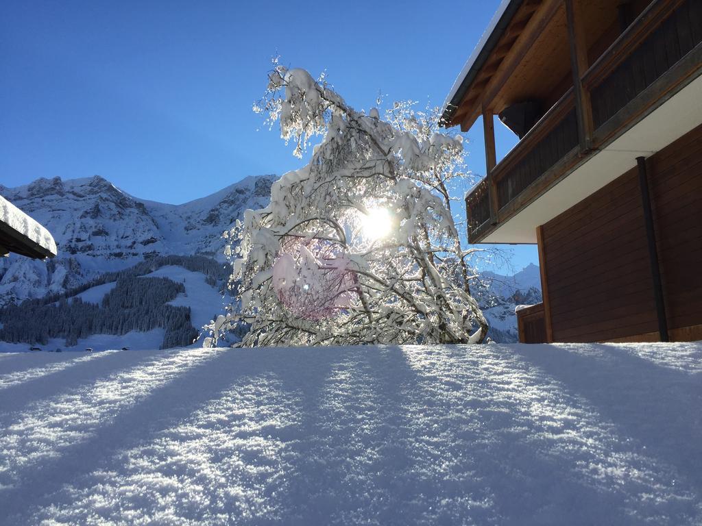 Hotel Steinmattli Adelboden Dış mekan fotoğraf