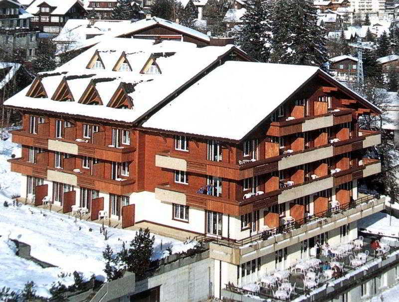 Hotel Steinmattli Adelboden Dış mekan fotoğraf